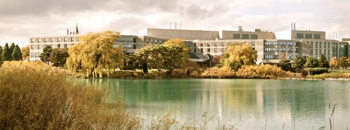 The Allen Center