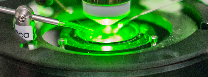 Extreme close up on microscope plate showing green light