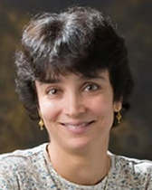 Indira M. Raman