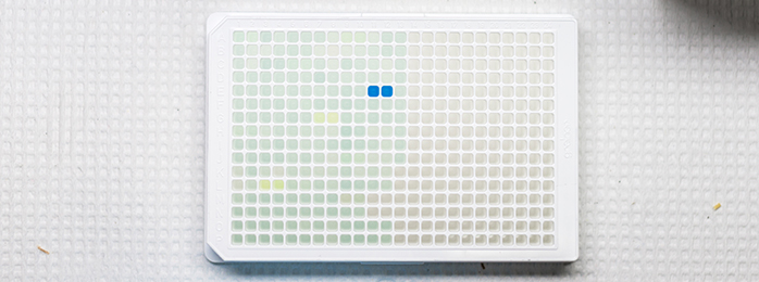 Pipette tray