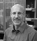 Dwight Bergles, PhD | Johns Hopkins School of Medicine