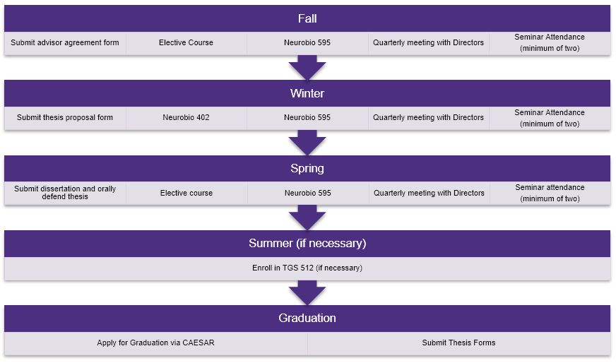 ms-timeline.png